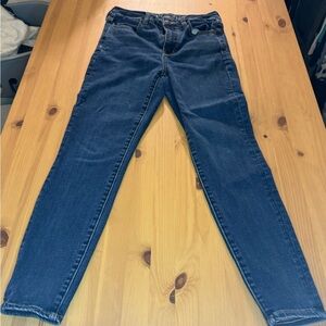 American Eagle Outfitters Blue Skinny Jeans Classic Fit